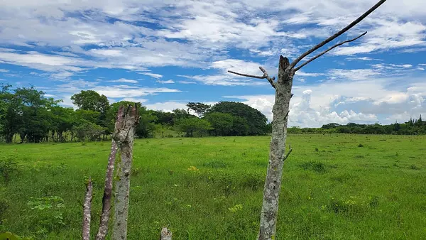 solares y terrenos - Finca en el Toro de Guerra 4