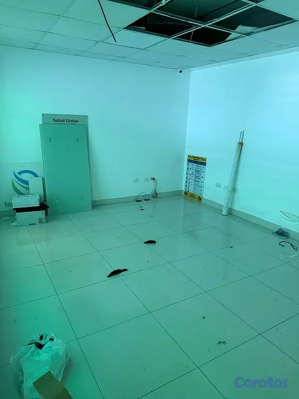 oficinas y locales comerciales - VENTA DE LOCAL DE OFICINAS 6