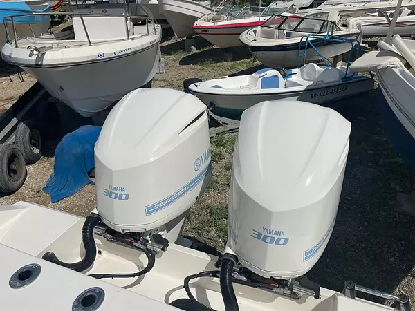 botes - Bote Robalo 3001 3