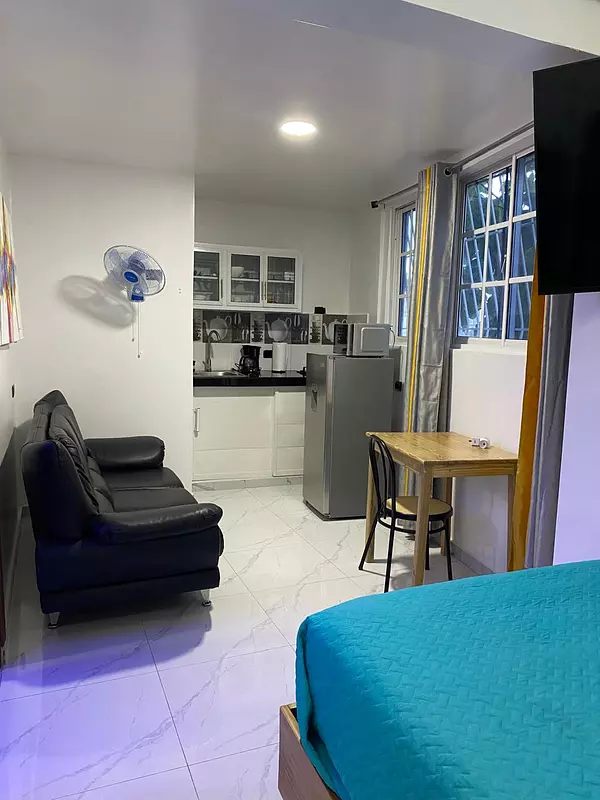 apartamentos - Venta, Edifcio de 8 estudios, Zona Colonial 10