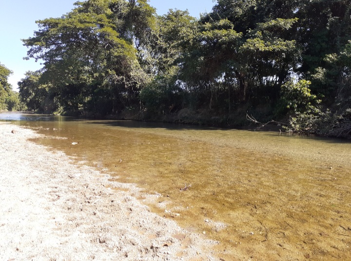 solares y terrenos - Finca 1,500 Tareas en Cabezas de Toros, Guayubin 0