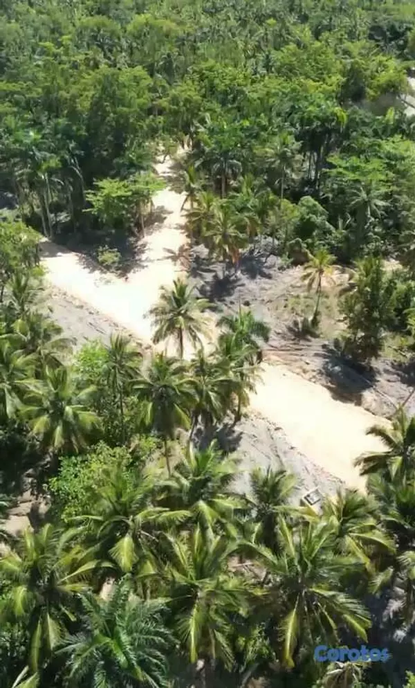 solares y terrenos - Exclusive Lots with Beach Access in Las Terrenas, Samaná 3