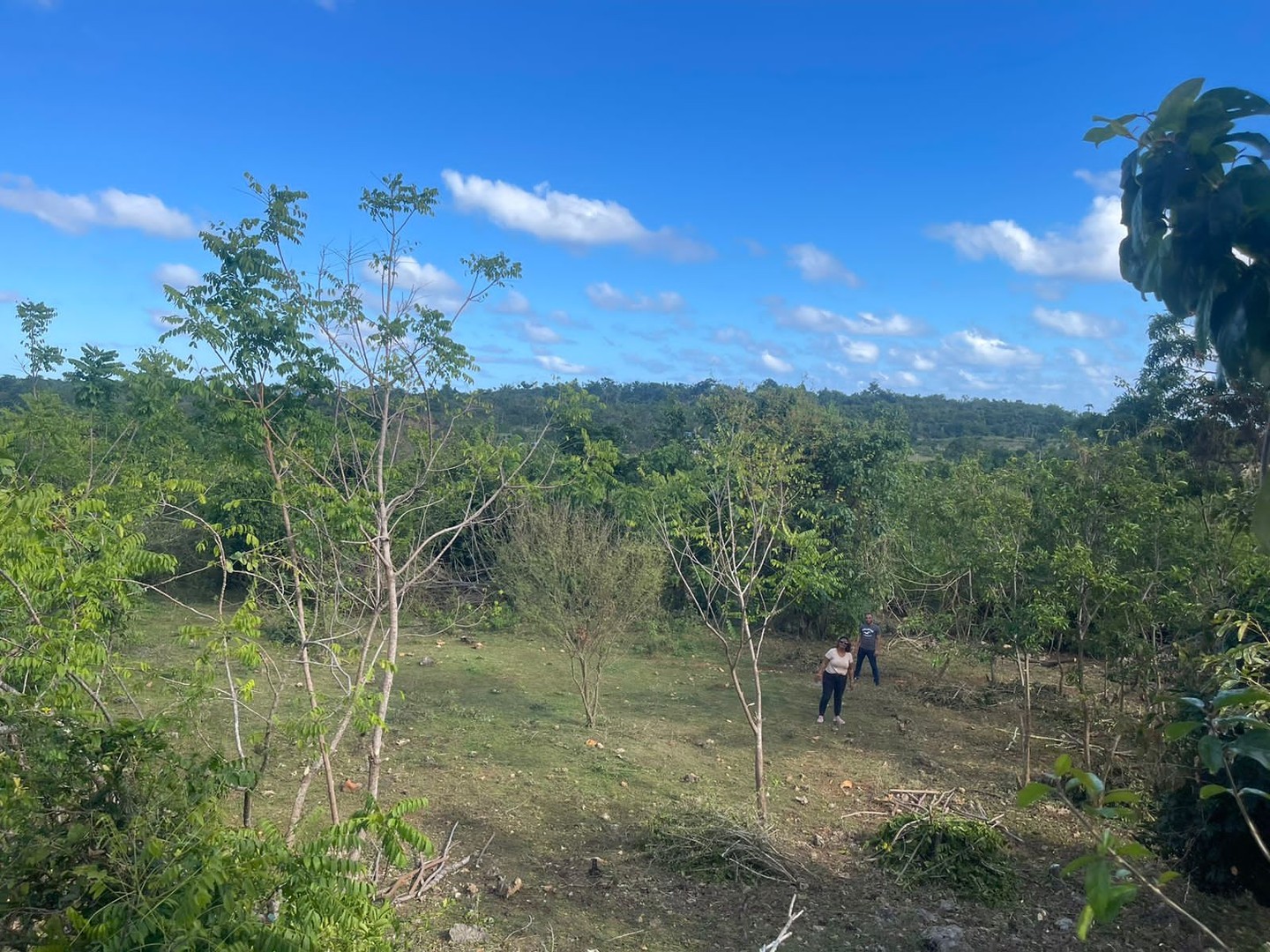 solares y terrenos - Terreno en Venta 12,161 Mts2 en Samaná  1