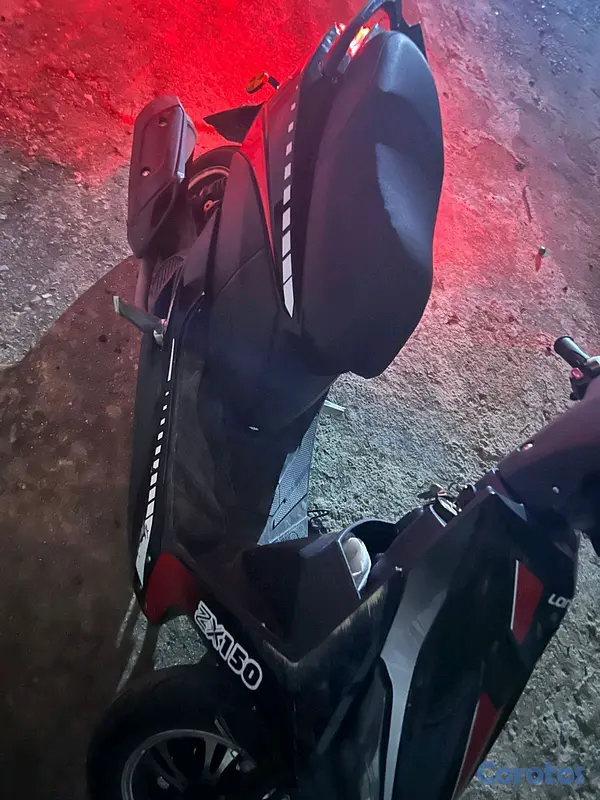motores y pasolas - Pasola zx150  4