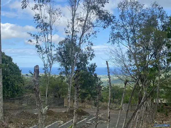 solares y terrenos - solar de 1920 en el Cupey  9