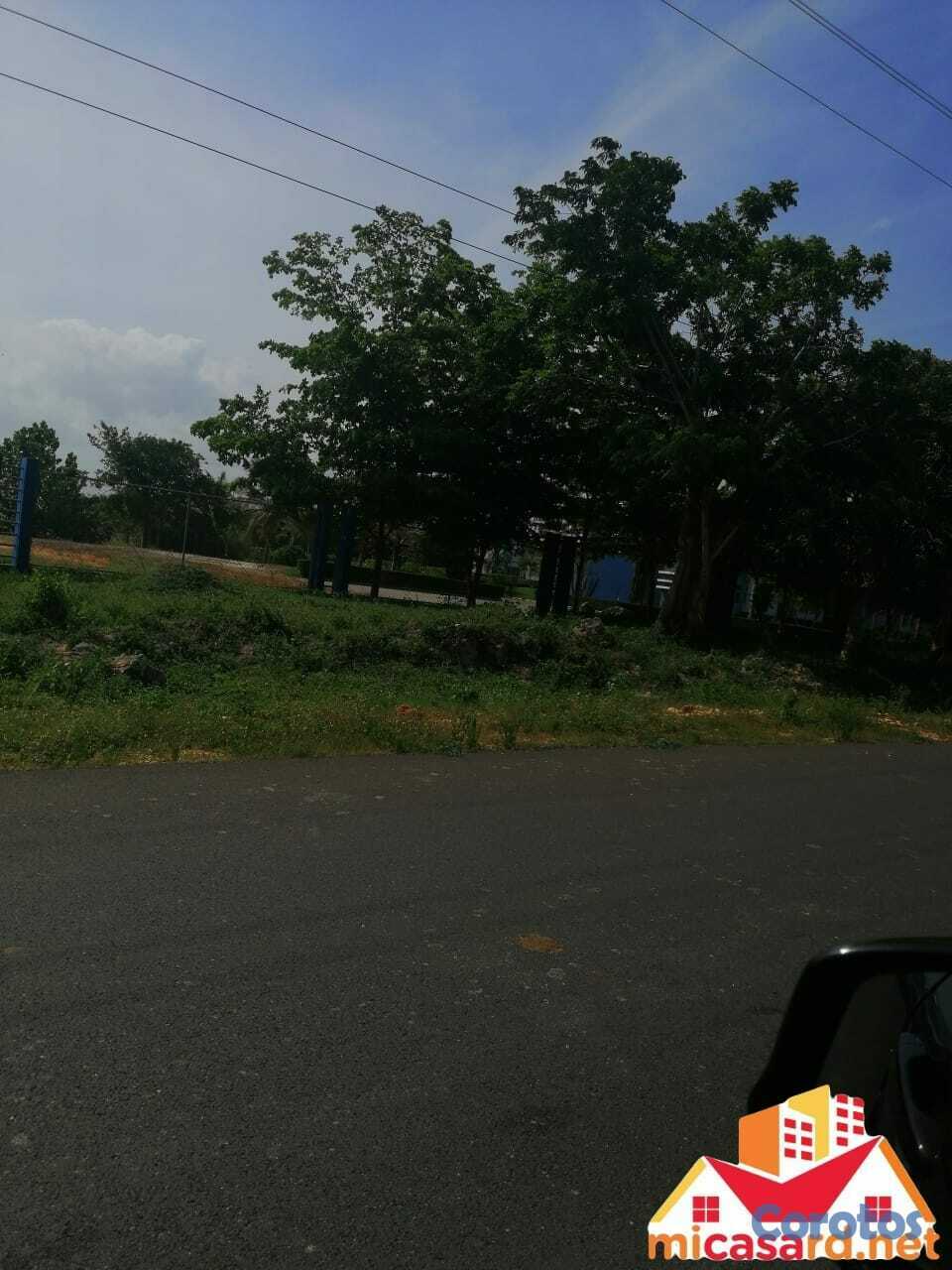 solares y terrenos - Terreno 96,500 m² en Boca Chica: tu gran inversión 1