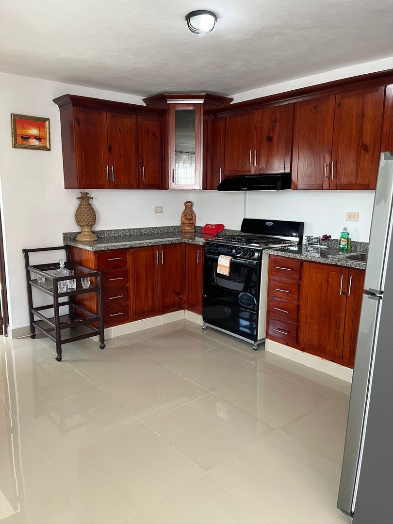apartamentos - Alquilo apartamento amueblado en San Isidro 9