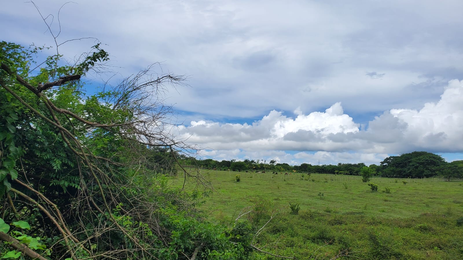 solares y terrenos - Finca en el Toro de Guerra 7