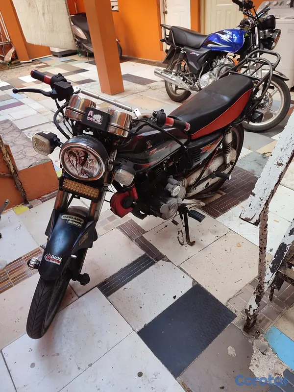 motores y pasolas - ZG200 Z3000 4
