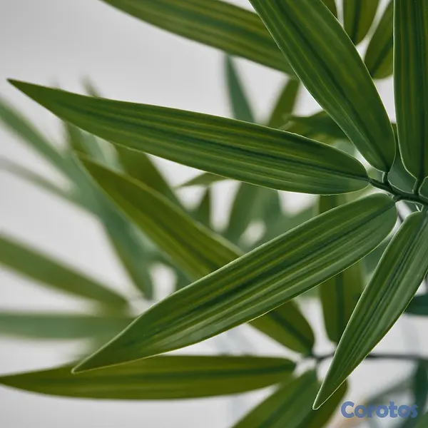 decoración y accesorios - planta artificial decorativa  4