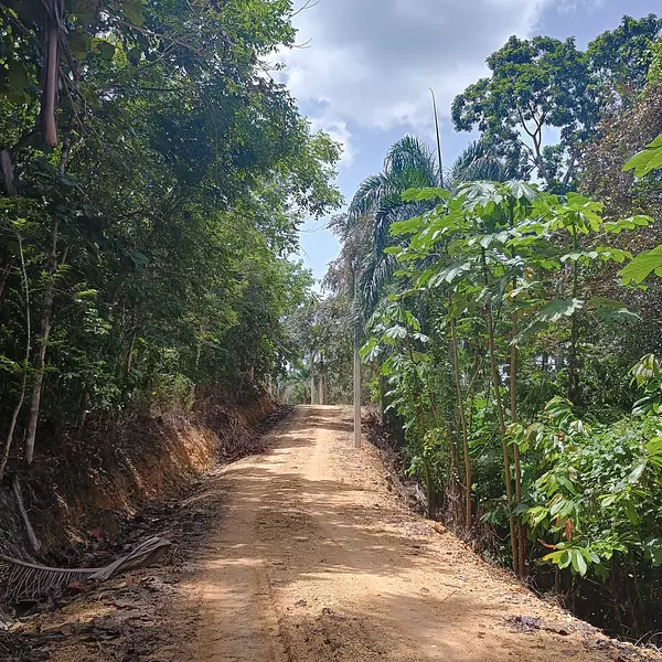 solares y terrenos - Fincas desde 2,500 metros, con rio, en Monte Plata 7