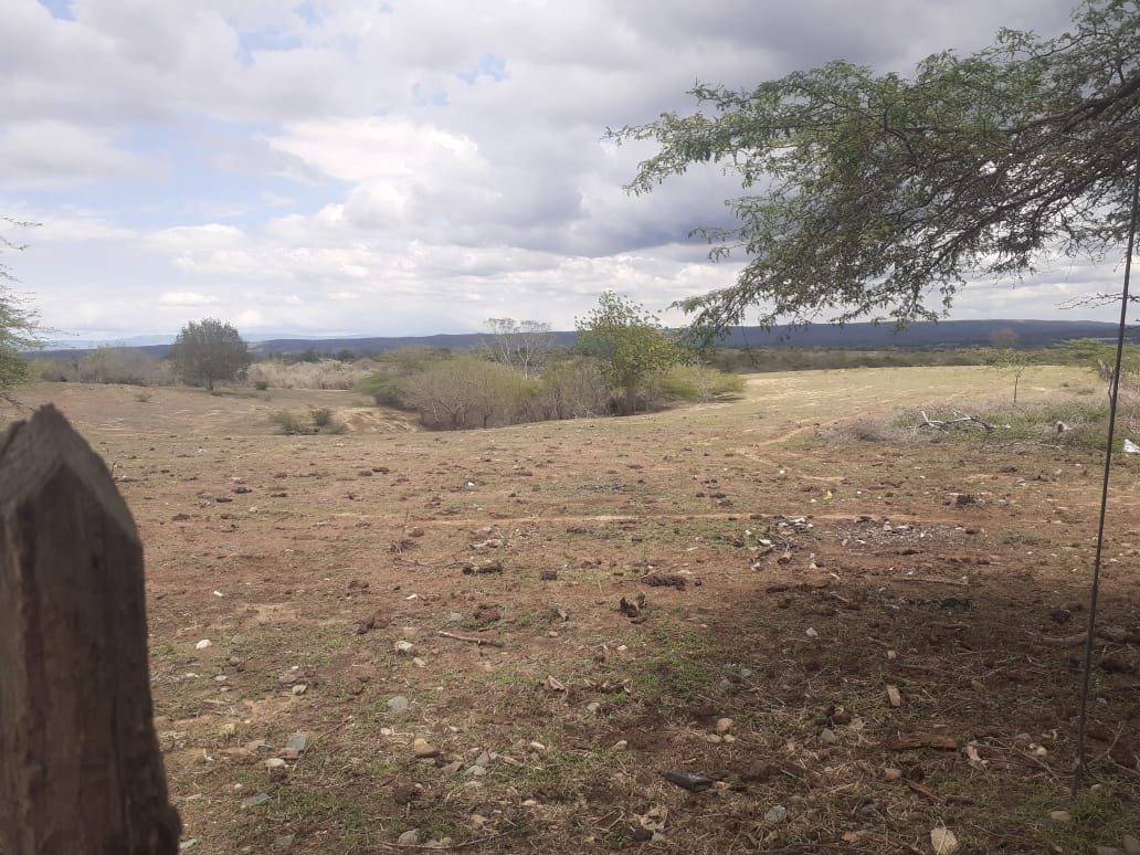 solares y terrenos - Finca 1,500 Tareas en Cabezas de Toros, Guayubin 2