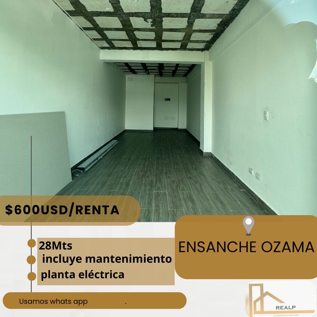 oficinas y locales comerciales - local comercial plaza 