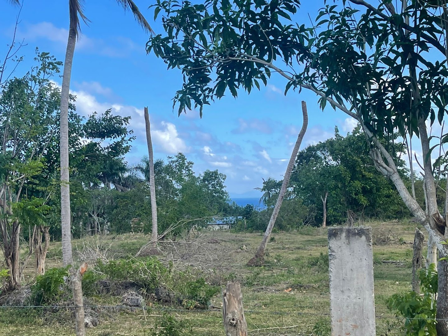 solares y terrenos - Terreno en Venta 12,161 Mts2 en Samaná  3