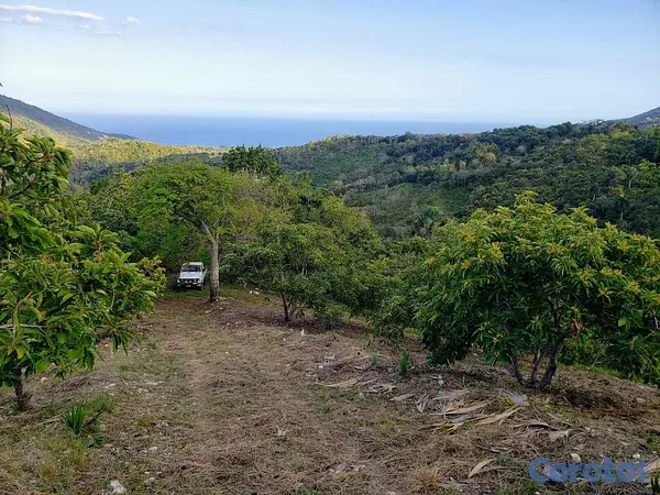 solares y terrenos - Vendo Finca de AGUACATE en Paraíso, BARAHONA, 255, 6