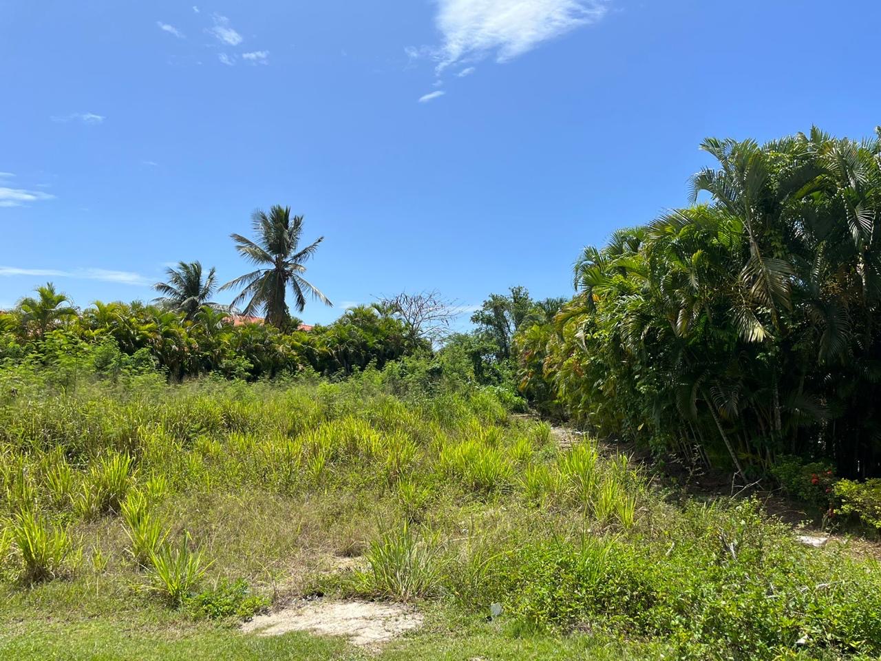 solares y terrenos - Vendo solar Juan dolió metro country club 917 mtrs 3