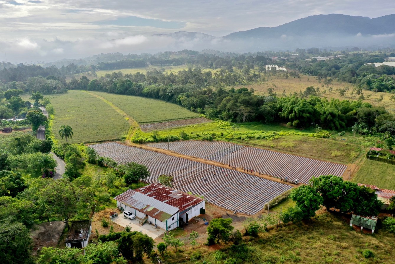 solares y terrenos - Solares en Venta en Jarabacoa 1