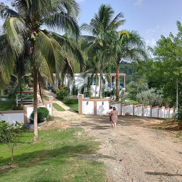 solares y terrenos - Fincas desde 2,500 metros, con rio, en Monte Plata 8