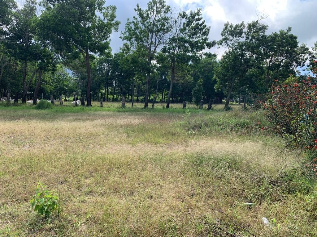 solares y terrenos - Terreno en venta, perfecto para la construcción de villas 1
