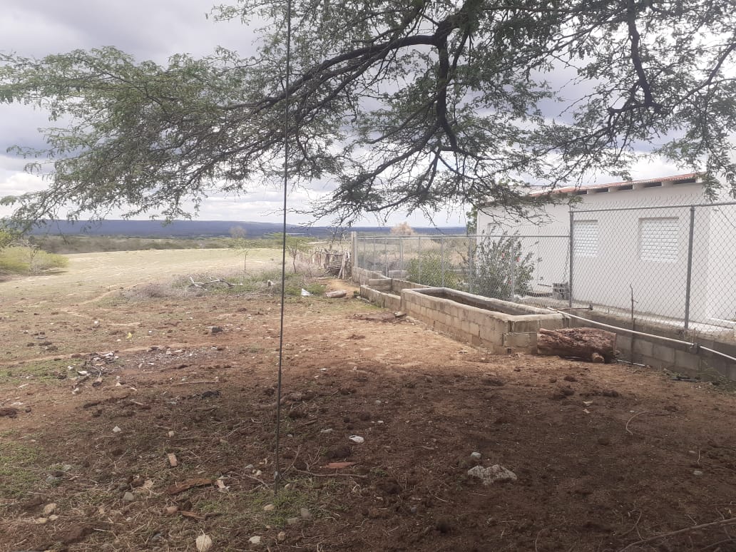 solares y terrenos - Finca 1,500 Tareas en Cabezas de Toros, Guayubin 3