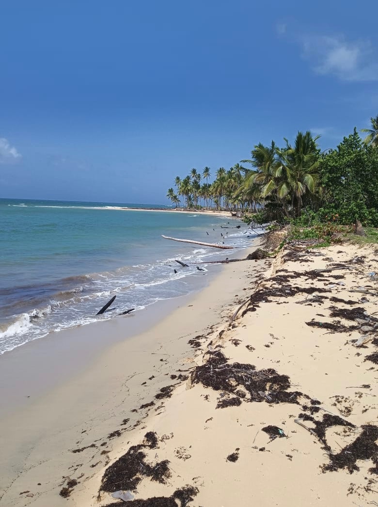 solares y terrenos - Vendo terreno en miche playa el Limón 
3 porción una de 1,371,000 con 1 km. 
