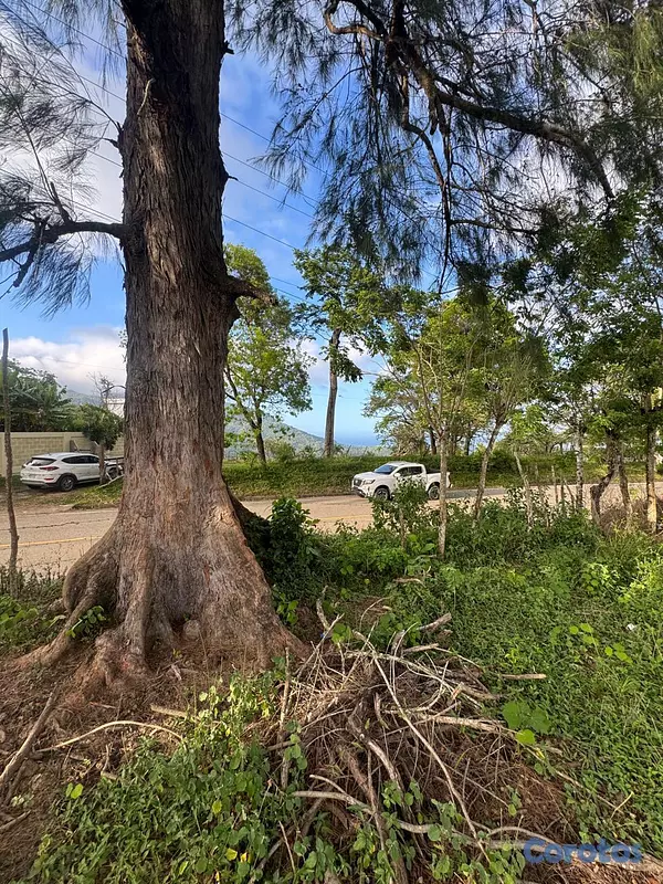 Proyectos - APARTAMENTOS EN PLANO EN PUERTO PLATA A MINUTOS DE 9