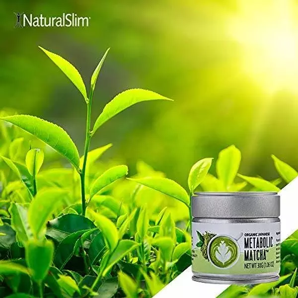 Salud y Equipamiento Médico - Polvo De Te Verde Matcha Metabolico Naturalslim - Metabolism 5