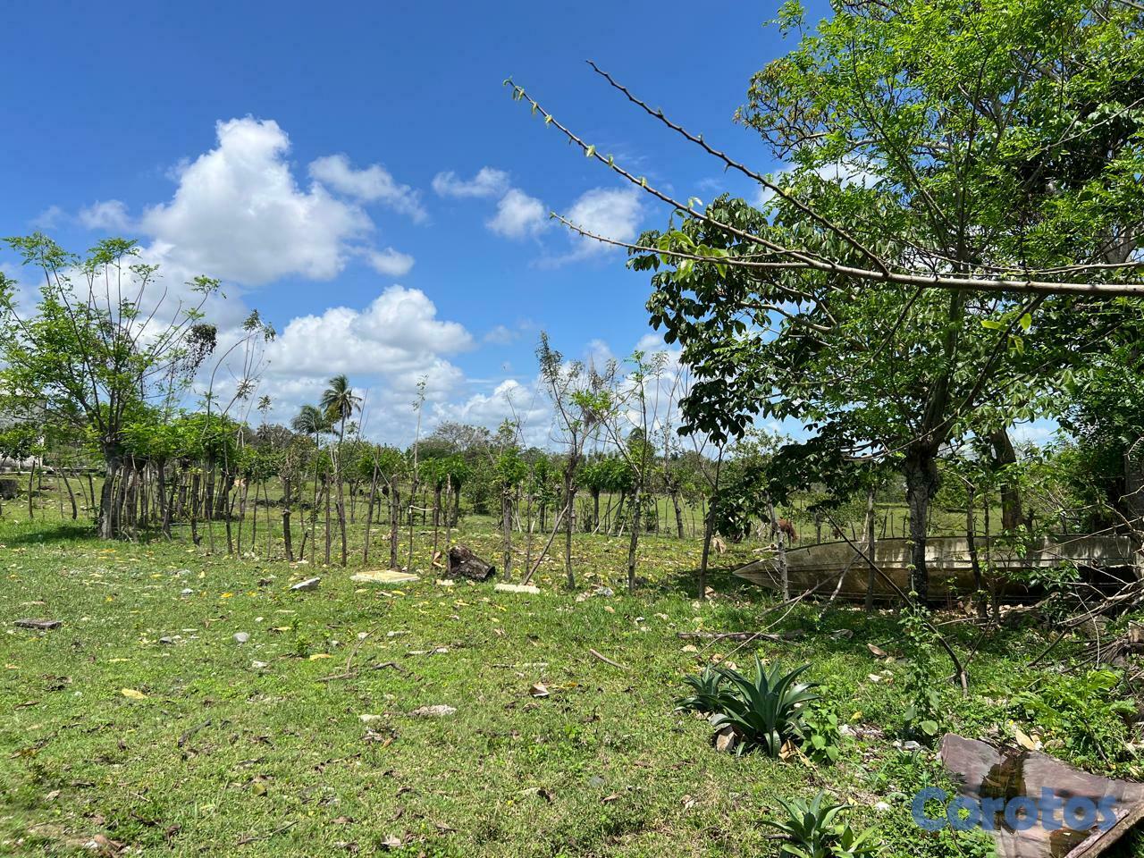 solares y terrenos - VENDO 45,881Mts.2 de Terreno en PEDRO BRAND, IDEAL 5