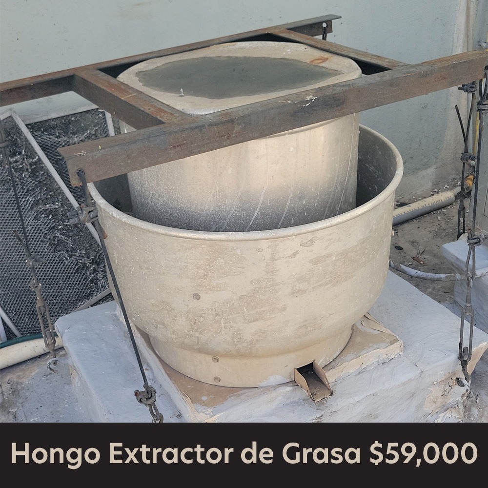equipos profesionales - Hongo Extractor para cocina comercial 3/4Hp 