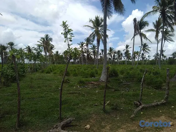 solares y terrenos - Terreno En Venta En La Vacama, Higüey – La Altagra 4