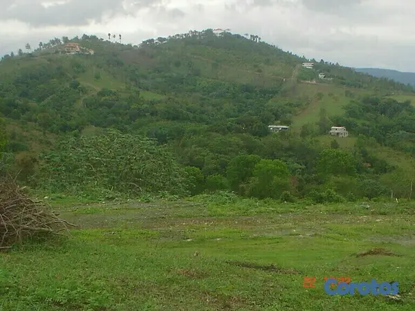 solares y terrenos - Finca en el KM 28 en Pedro Brand 5