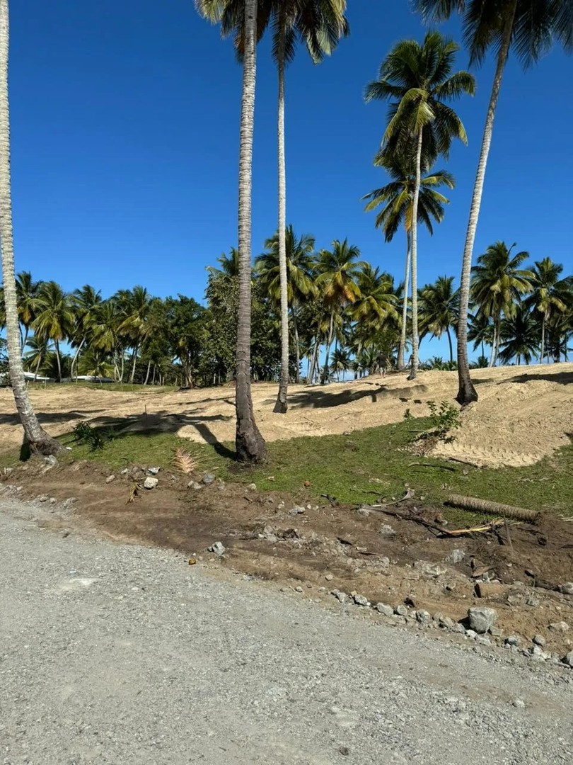 solares y terrenos - Oportunidad Única: Terreno en Primera Línea de Playa Gaspar Hernández 1