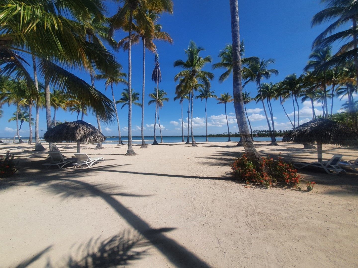 apartamentos - Apartamento turístico en venta en Playa Nueva Romana