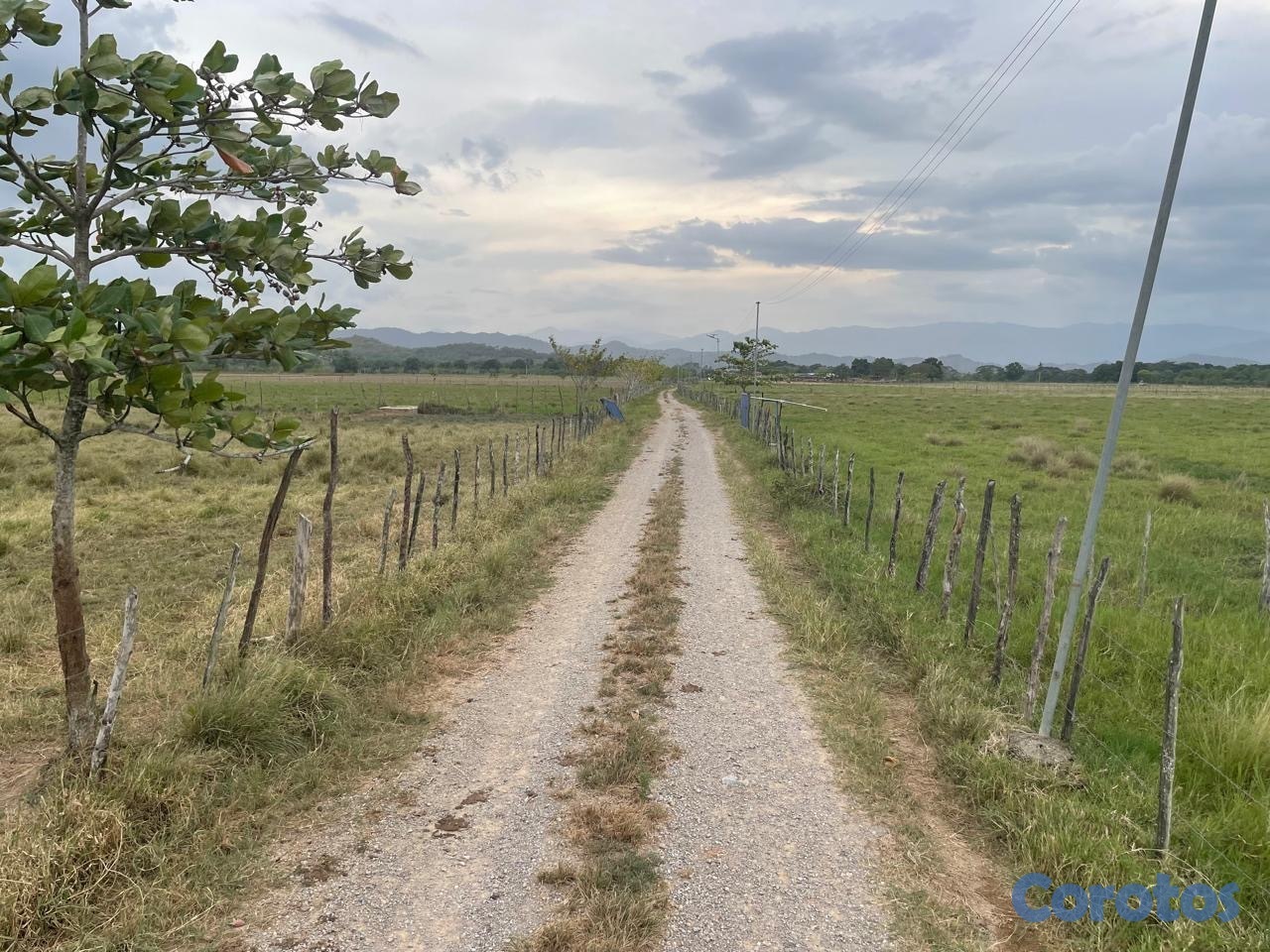 solares y terrenos - Finca ganadera rentable y productiva en venta 4