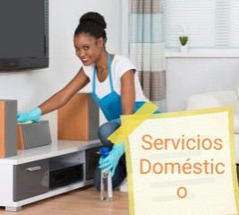 Agencia D Servic Doméstic