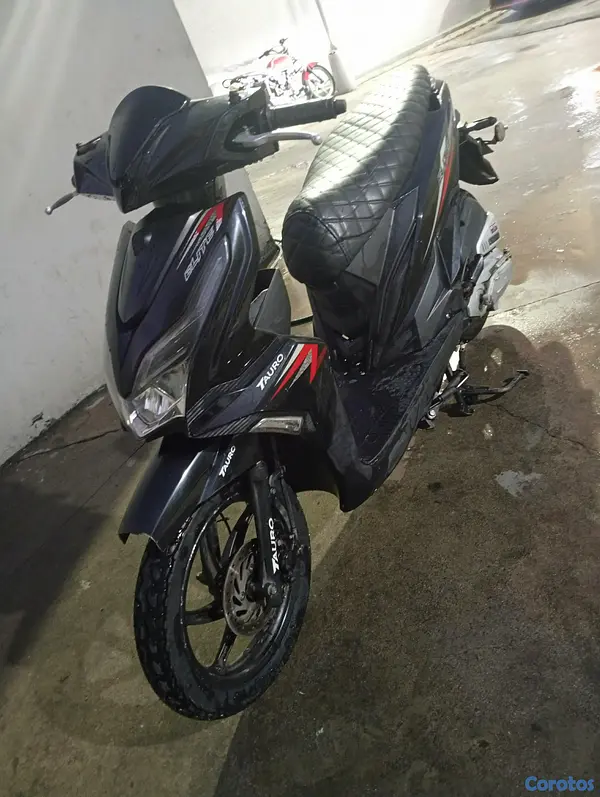 motores y pasolas - Tauro Elite 110 8