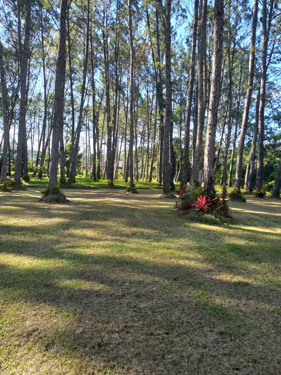 solares y terrenos - Solares de Venta en Jarabacoa 