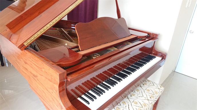 instrumentos musicales - PIANO DE COLA