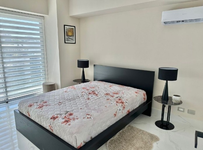 apartamentos - Alquiler de Apartamento Amueblado en Piantini 4