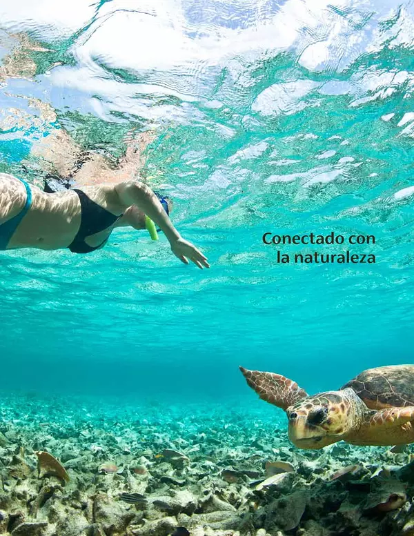 solares y terrenos - Solares Turísticos, con playa, Campo de Golf y mucho más 8