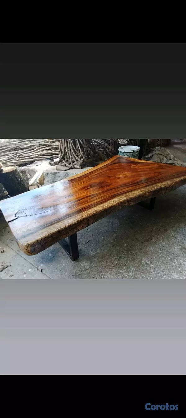 decoración y accesorios - 1111111 4