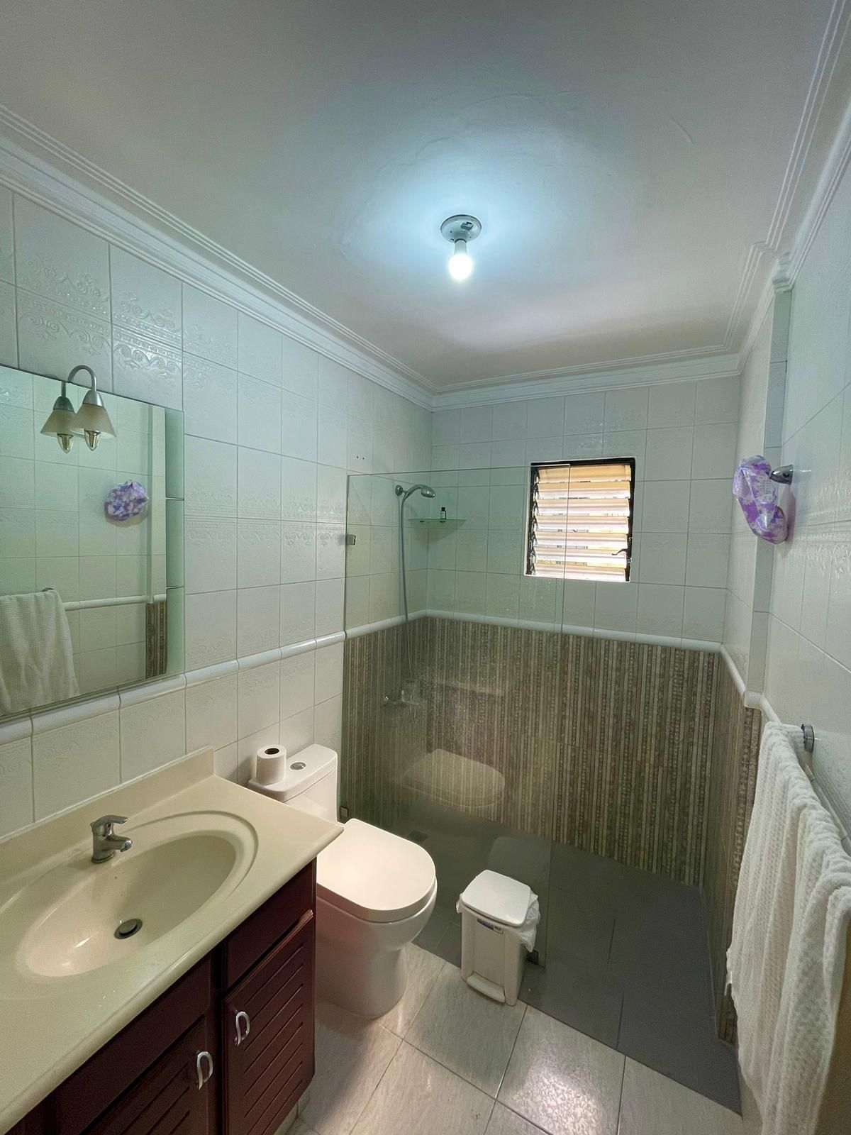 apartamentos - Alquilo Apartamento 3 Hab Amueblado Bella Vista 6