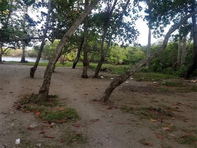 solares y terrenos - Venta Terreno de playa, playa Cangrejo, Sosua, Puerto Plata
