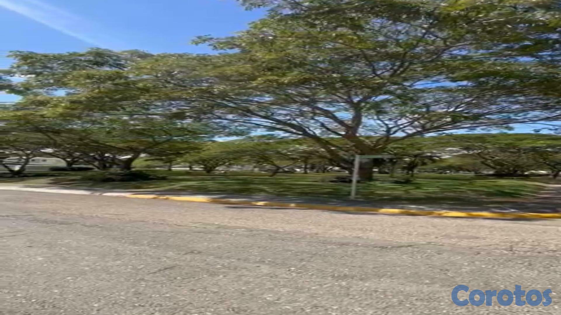 solares y terrenos - SOLAR DESLINDADO EN LOS SAMANES SANTIAGO 590 METROS 2