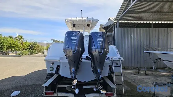 botes - título de florida con su matrícula de navegar en RD 7