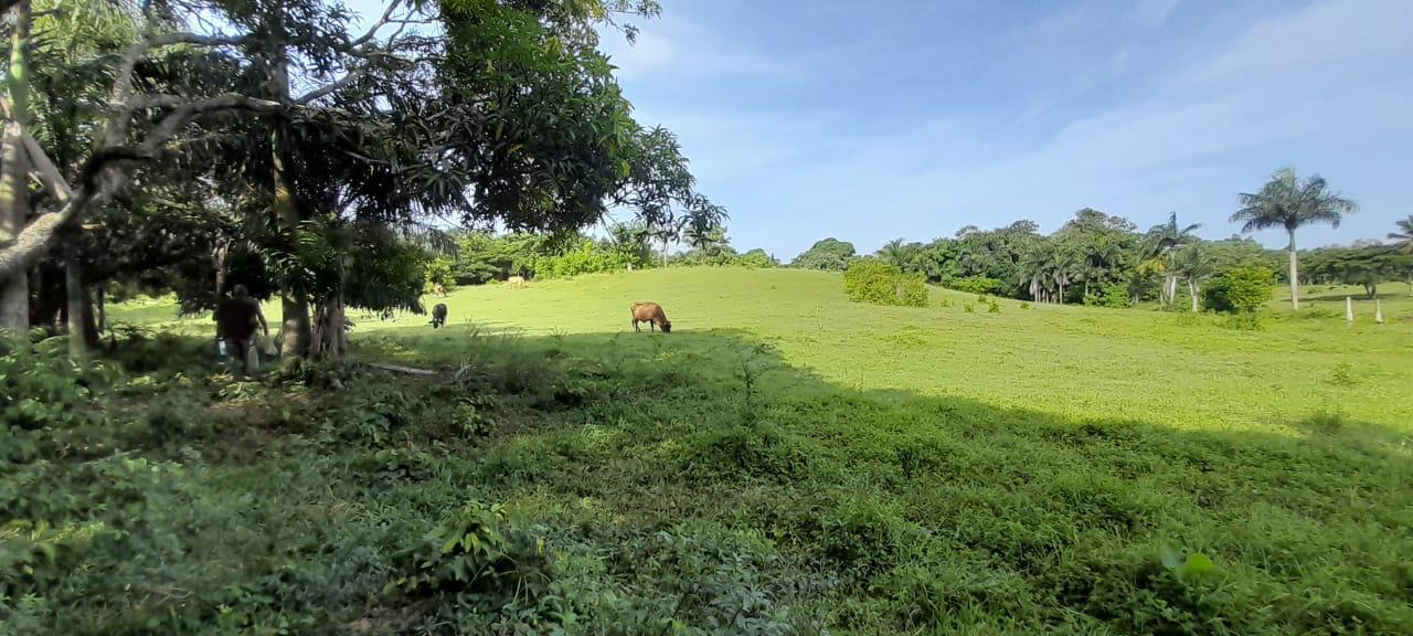 solares y terrenos - Vendo terrenos en Carretera la Isabela 5