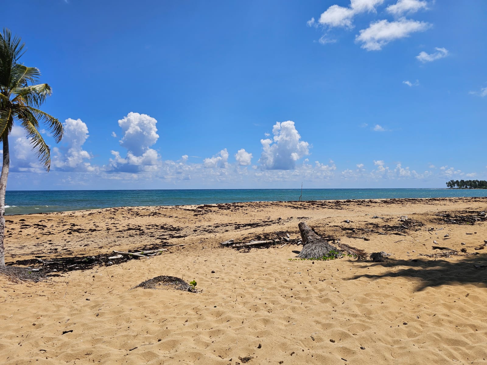 solares y terrenos - VENDO EN PLAYA EL LIMÓN EN MICHES HERMOSOS TERRENOS A PIE DE PLAYA  4
