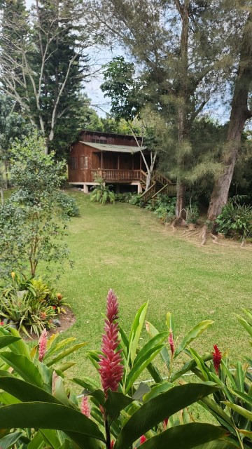 casas vacacionales y villas - Vendo solar con una Casa y dos cabañas 3
