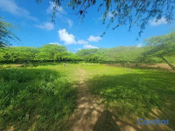 solares y terrenos - Terreno en venta en Puerto Plata 4
