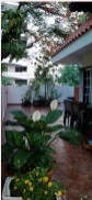 apartamentos - Hermoso a partamento de 3 h 5